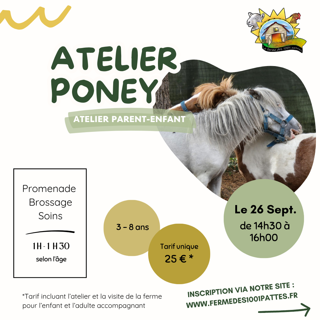 Atelier Poney - 26/09/2026
